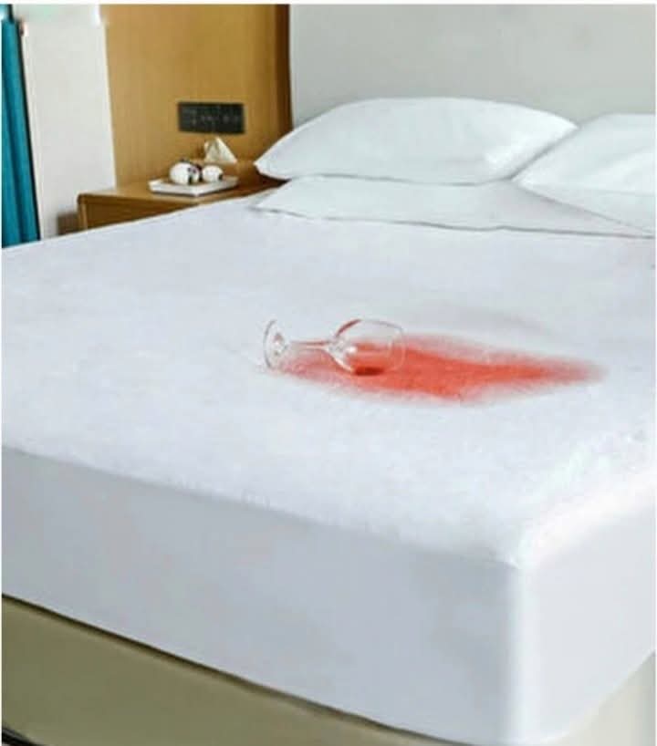 0-02-05-fb46a36a33e10f3a33315f9bc5209059d8566cff7daa9062c3c32636eb51ed0e_9ef0868c78d4f67d